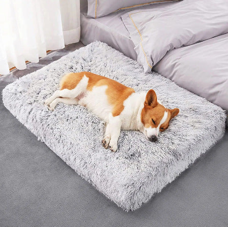 Rectangular dog bed pad