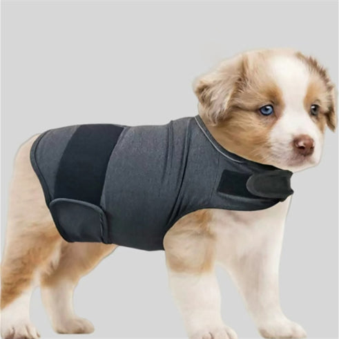 Casual cotton vest for dogs