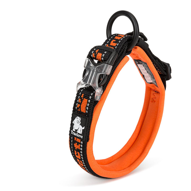 Nylon webbing dog collar