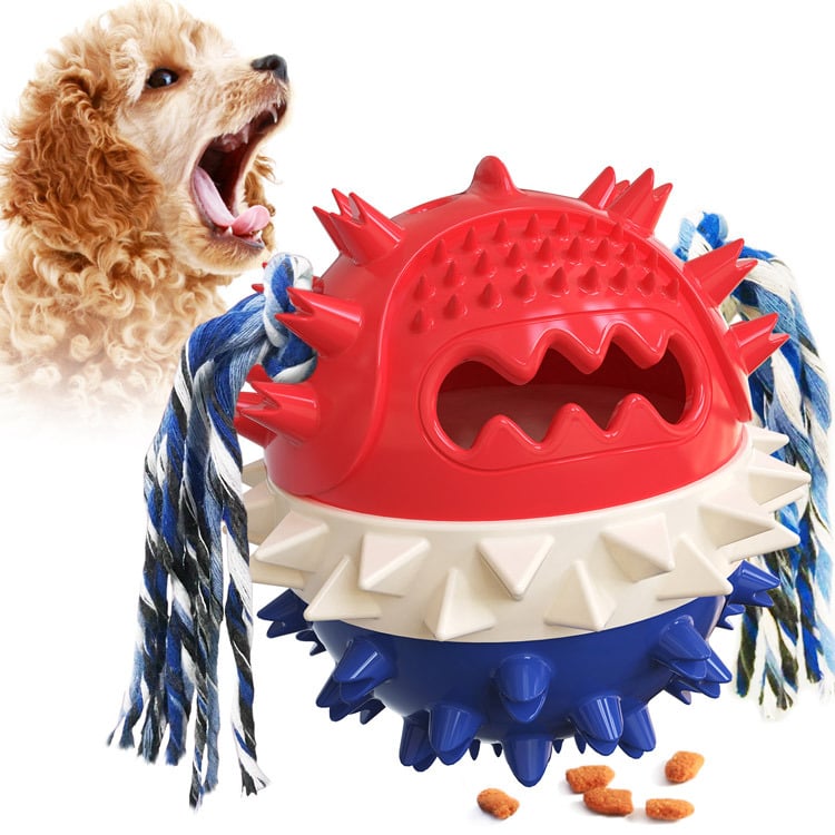Vocal Dog Toy with Molar Stick for Puppies