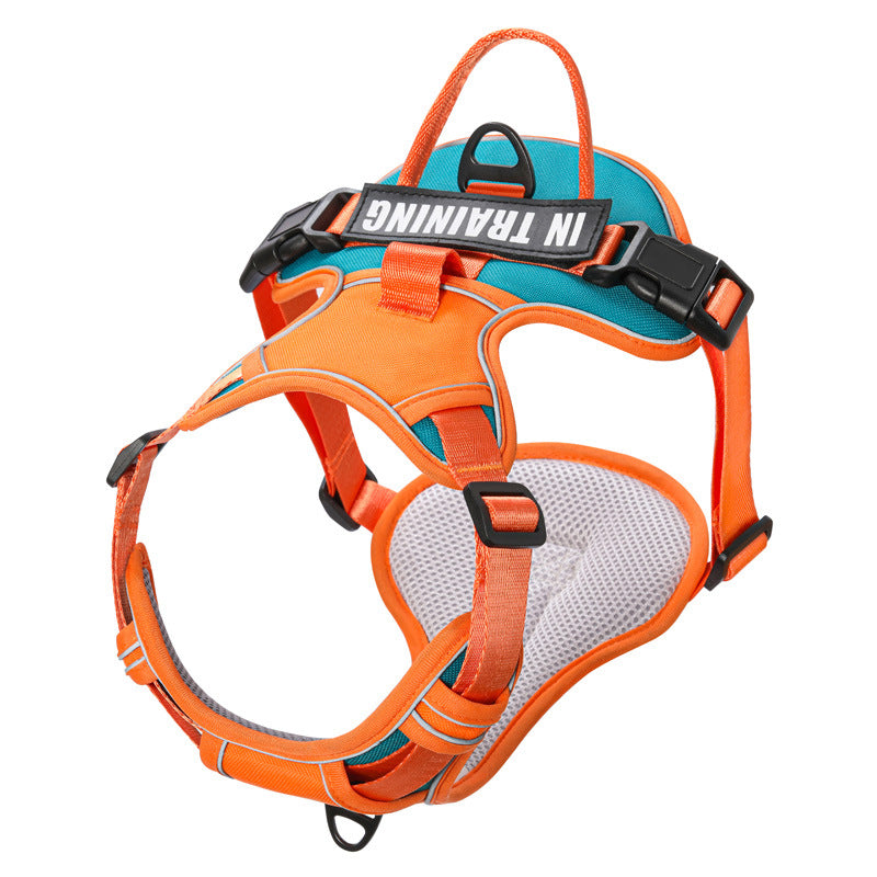 Nylon chest harness for dogs