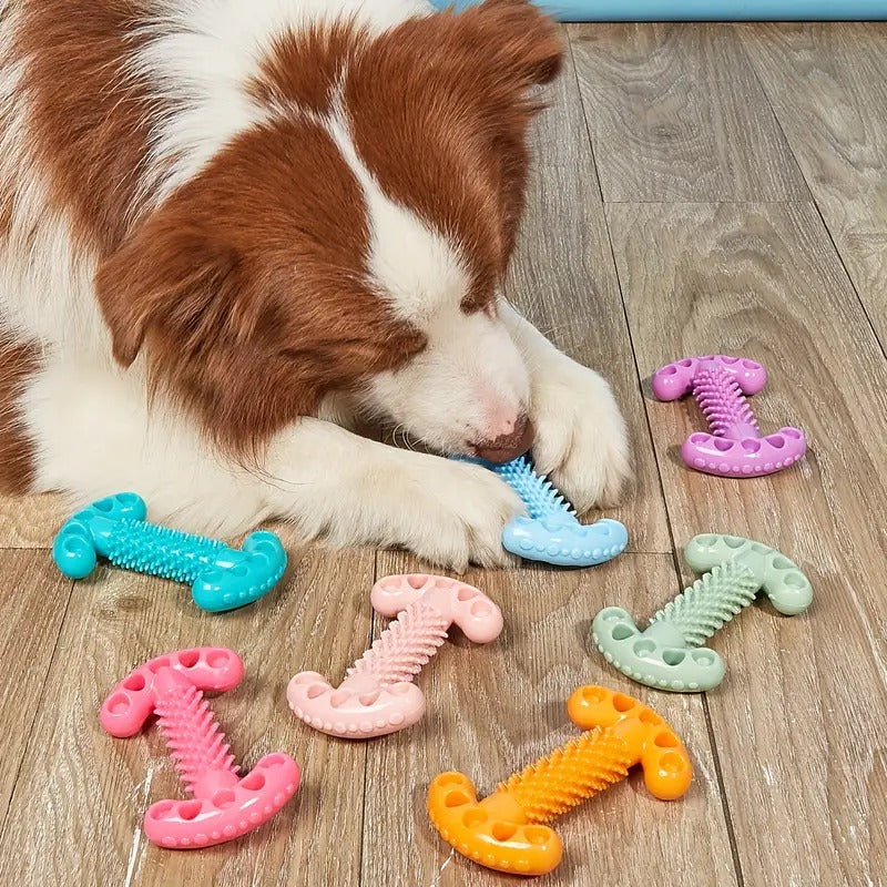 Bite Resistant Dog Bone Teeth Grinding Educational Toy