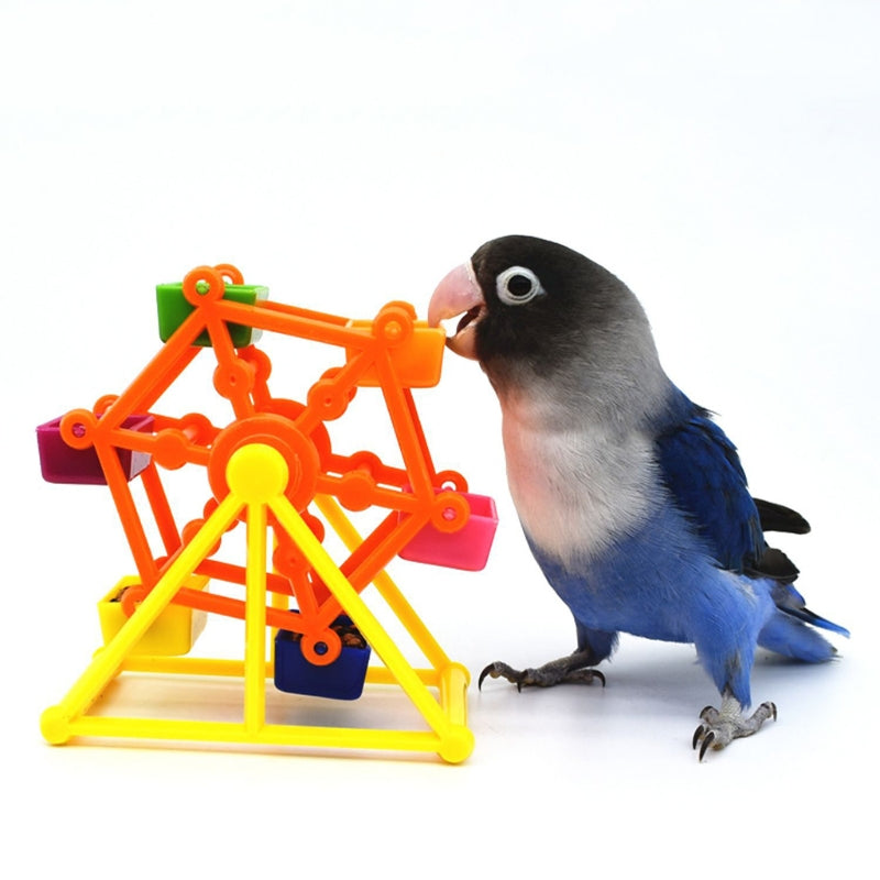 Other Products for Birds