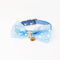Bright Colors Dog Collar