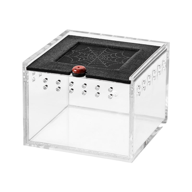 Acrylic Reptile Enclosure for Pets and Insects