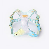 Adjustable Waterproof Leather Pet Harness