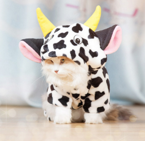 Pet Transformation Costume - Cow Cat & Dog Clothes