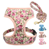 Dog Leash for Shiba Inu & Pomeranian Puppies