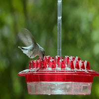PALONE Hummingbird Feeder with Perch and Ant Moat