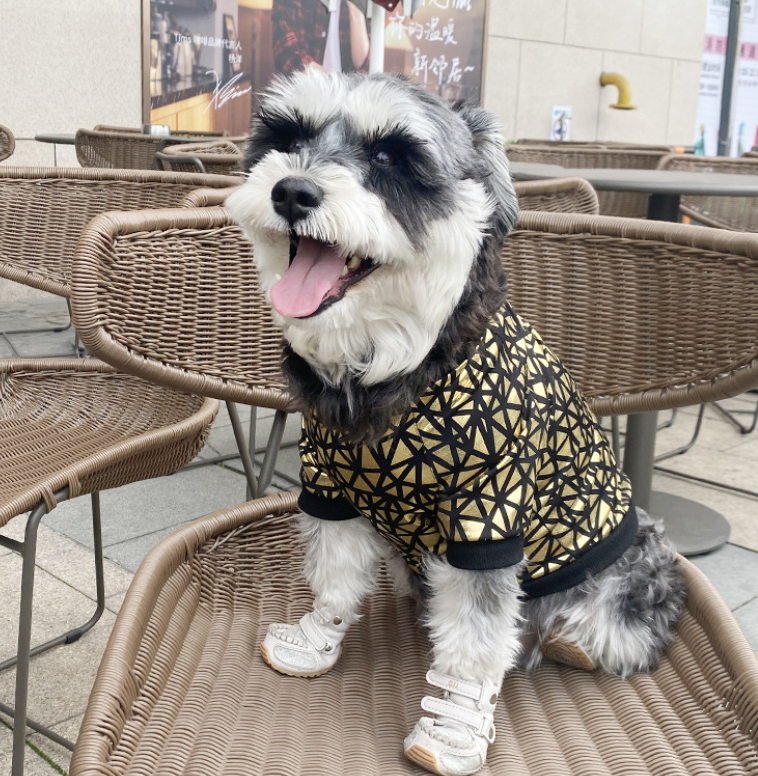 Spring & Summer Dog Clothes in Bronzing Style