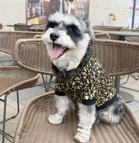 Spring & Summer Dog Clothes in Bronzing Style