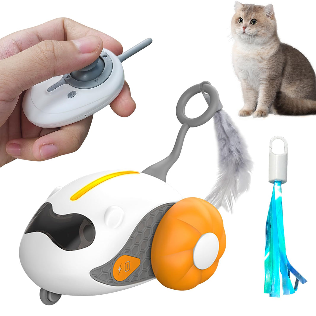 Interactive Remote Control Toy