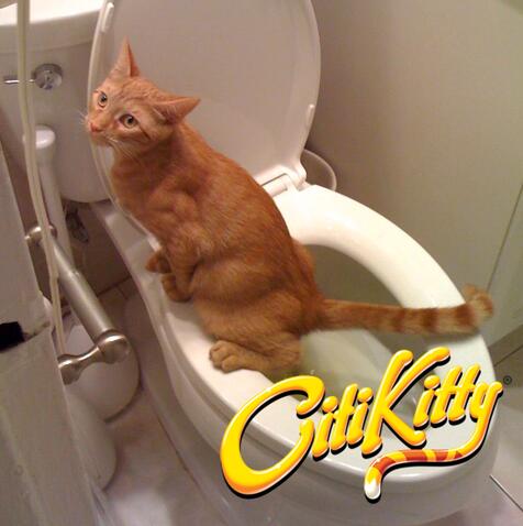 Cat Toilet Training Frame
