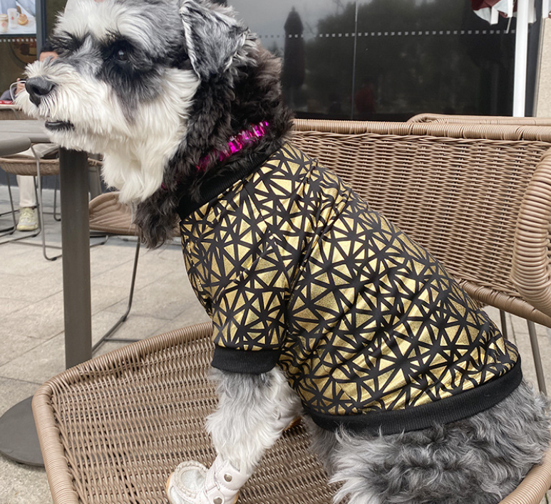 Spring & Summer Dog Clothes in Bronzing Style