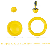 EVA Pet Toy Ball with Floating Frisbee and Chew Ring