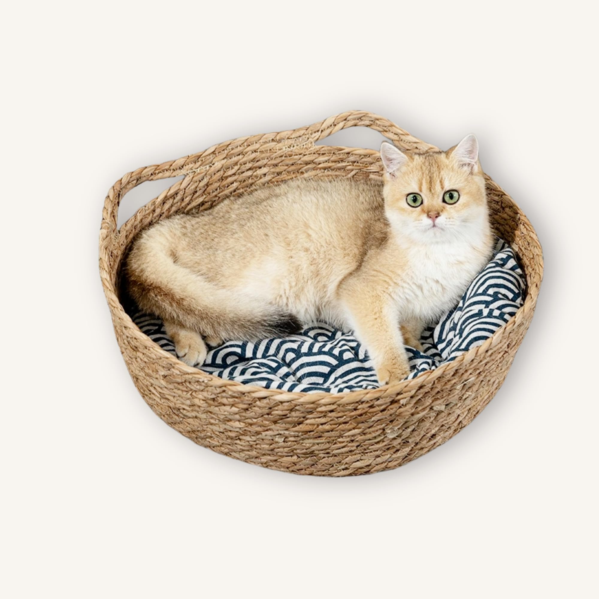 Indoor CatStraw Cat Nest