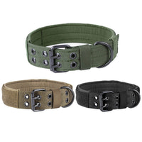 Nylon Anti-Grind Dog Leash and Collar Set