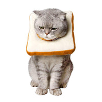 Soft Cat Cone Collar