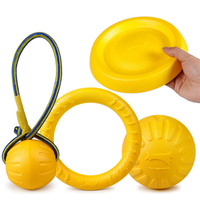 EVA Pet Toy Ball with Floating Frisbee and Chew Ring