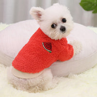 Warm Two-Legged Dog Outfit for New Year's Celebration