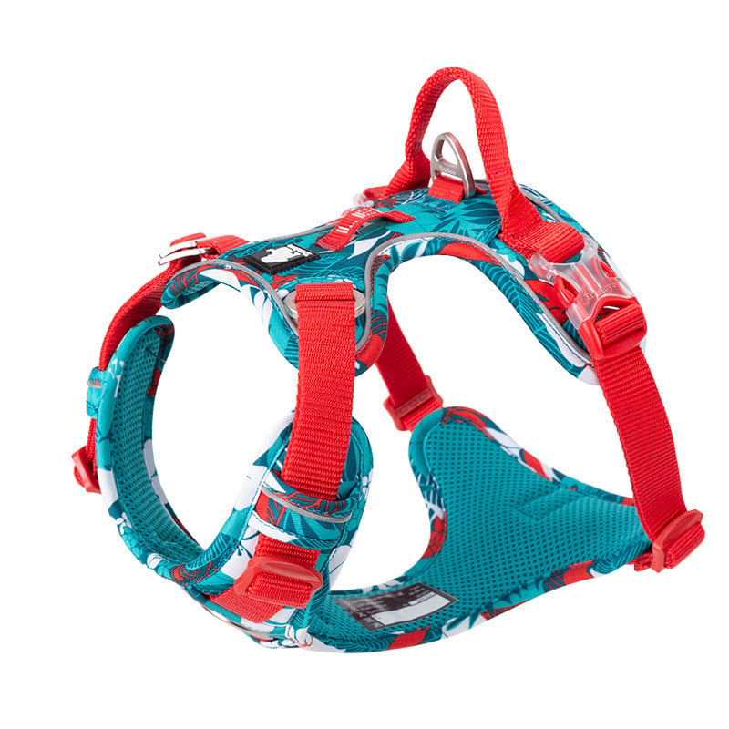 Vest-style chest harness for dogs