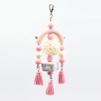 Acrylic Hanging Teeth Toys for Parrots and Birds