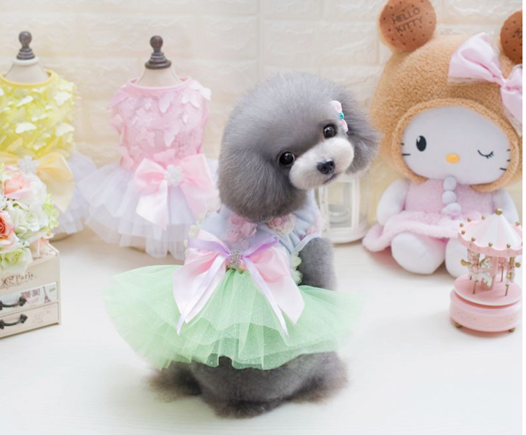 Candy Color Dog Dress, Princess Tulle Summer Outfit