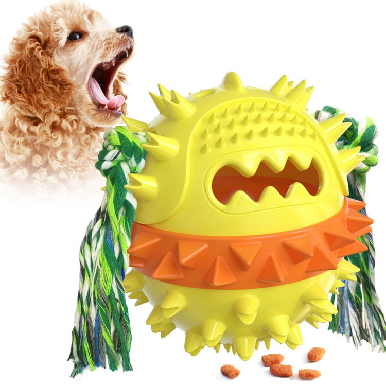 Vocal Dog Toy with Molar Stick for Puppies