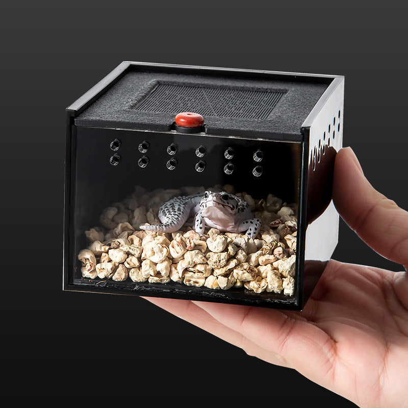 Acrylic Reptile Enclosure for Pets and Insects