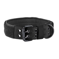 Nylon Anti-Grind Dog Leash and Collar Set