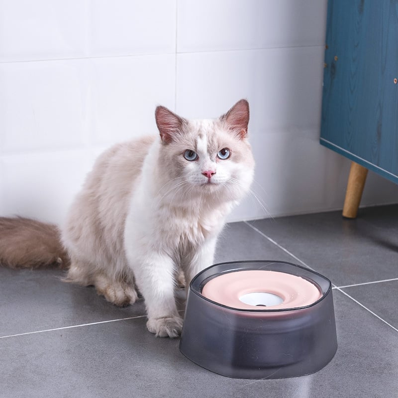 Splash-proof Pet Drinking Bowl for Cats