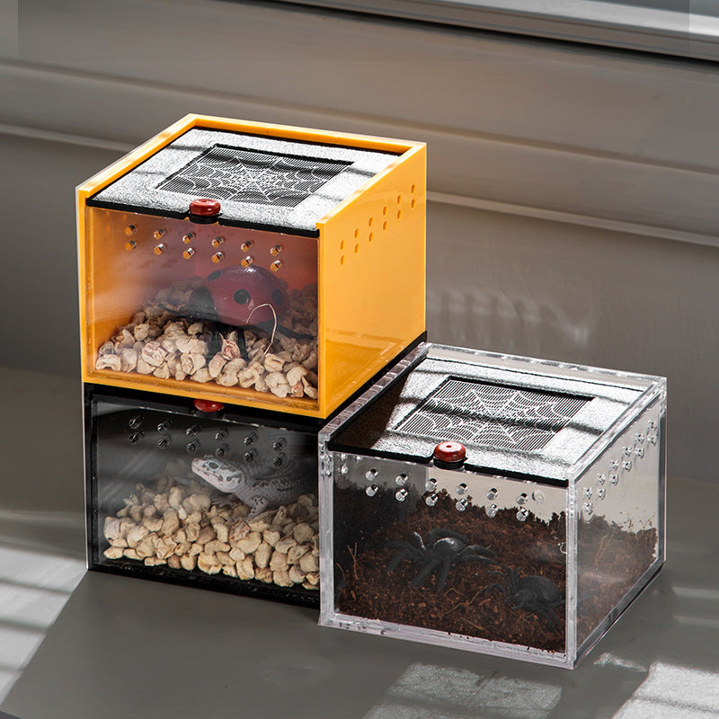 Acrylic Reptile Enclosure for Pets and Insects