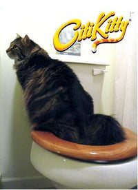 Cat Toilet Training Frame