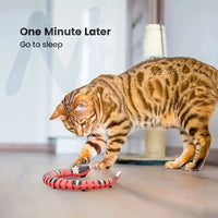 USB Charging Interactive Snake Toy for Cats