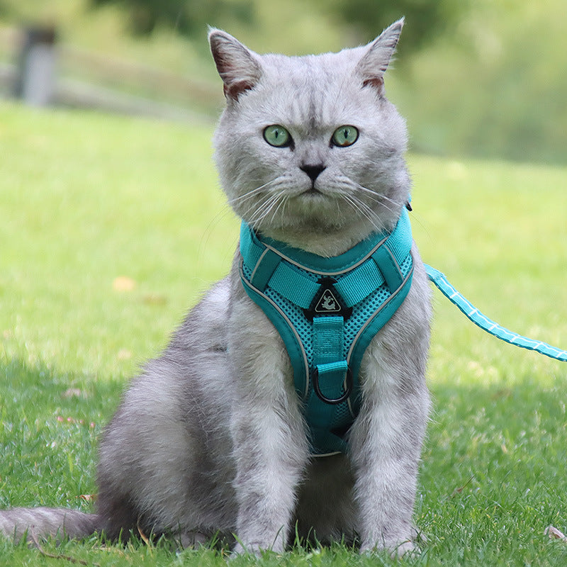 f0d6e518b55287a4b65b8bbdb9308cbf
