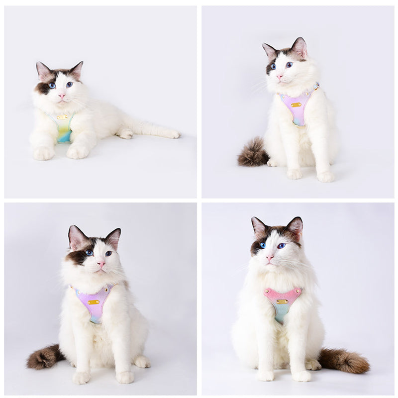 Adjustable Waterproof Leather Pet Harness