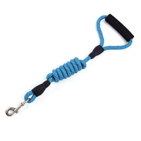 Golden Dog Leash for Traction and Control
