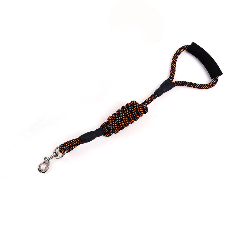 Golden Dog Leash for Traction and Control