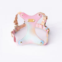 Adjustable Waterproof Leather Pet Harness