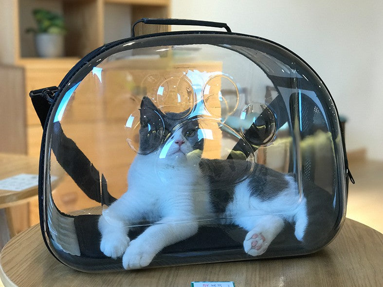 Transparent Pet Carrier, Shoulder Bag, Trendy Handbag