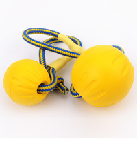 EVA Pet Toy Ball with Floating Frisbee and Chew Ring