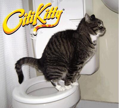 Cat Toilet Training Frame