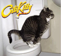 Cat Toilet Training Frame