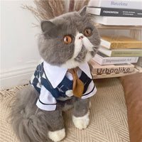 British Plaid Sweater for Pets - Spring Edition