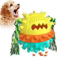 Vocal Dog Toy with Molar Stick for Puppies