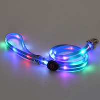 Rechargeable LED Pet Collar with Nylon Leash