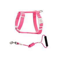 Pet Anti-Breakaway Traction Rope for Safety and Control
