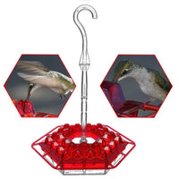 PALONE Hummingbird Feeder with Perch and Ant Moat