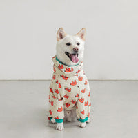 Hooded Raincoat for Dogs - Fashionable Four-Legged Design