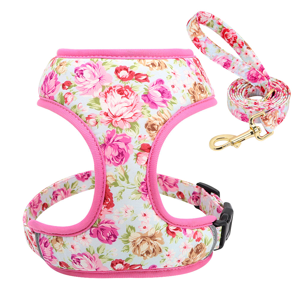 Dog Leash for Shiba Inu & Pomeranian Puppies